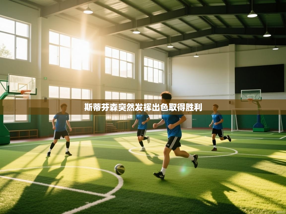 斯蒂芬森突然发挥出色取得胜利 第1张