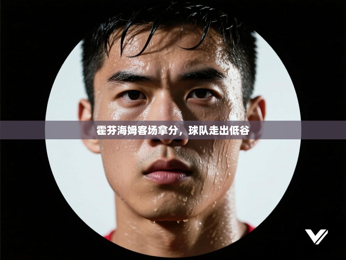 霍芬海姆客场拿分,球队走出低谷 第1张