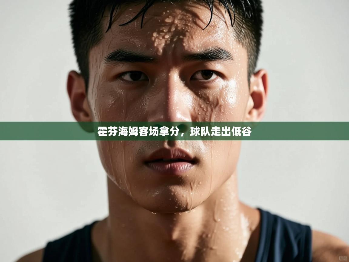 霍芬海姆客场拿分,球队走出低谷 第2张