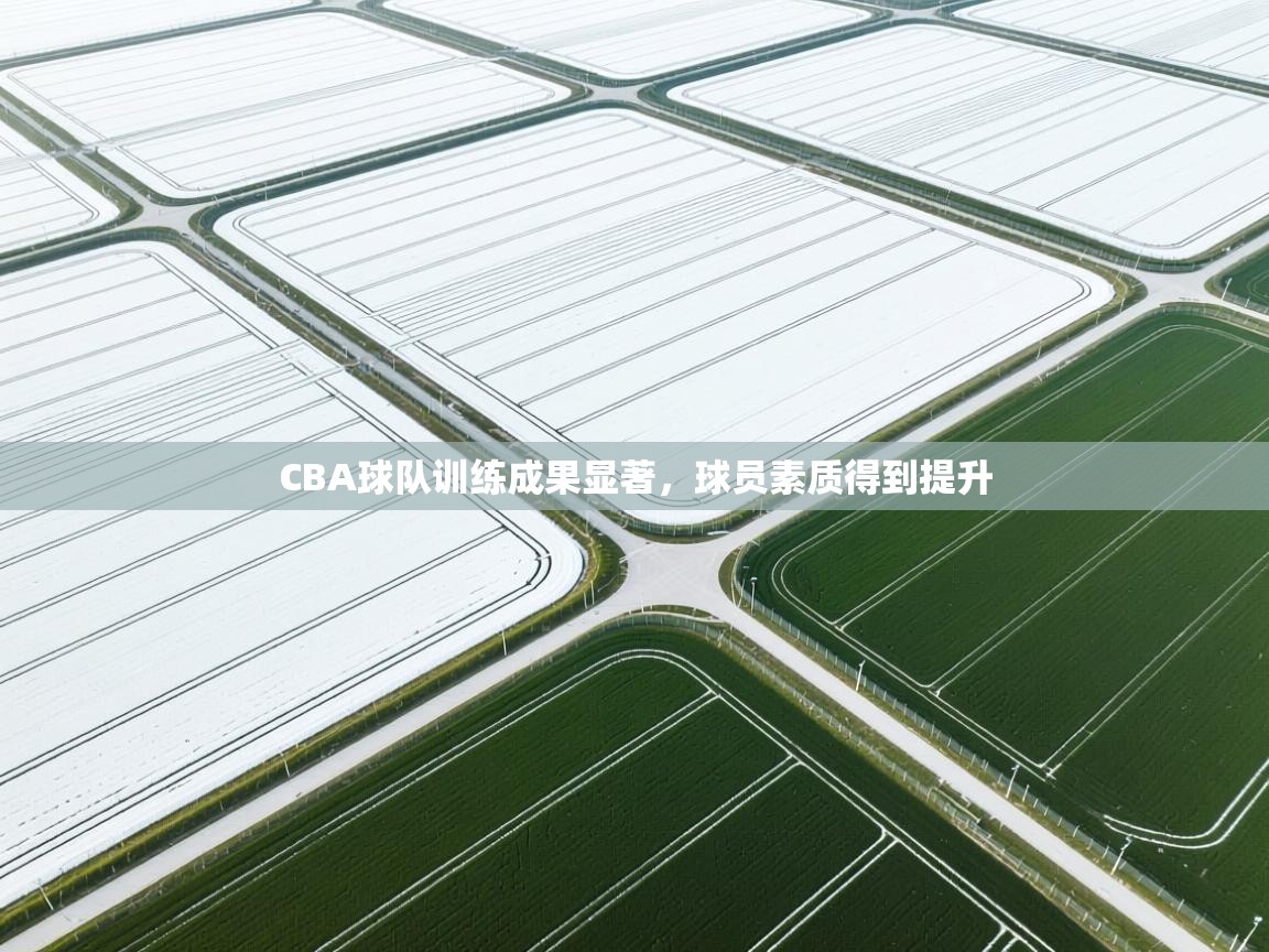 CBA球队训练成果显著，球员素质得到提升  第1张